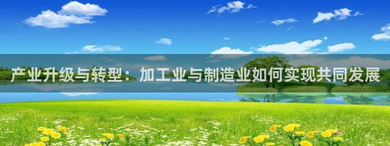 万事娱乐计划官网