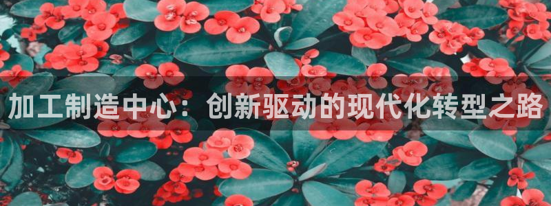 万事达娱乐指尖发