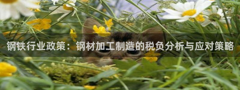万事达娱乐指尖得