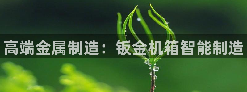 万事娱乐招商主管薪资