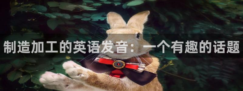 万事娱乐方案编号