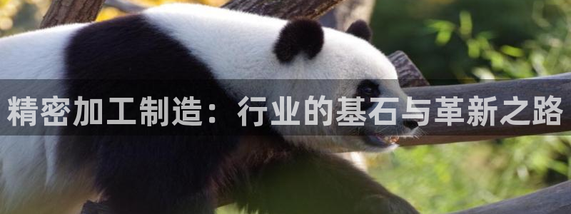 万事娱乐靠