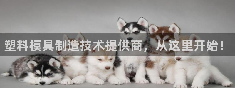 万事达娱乐t骧441200