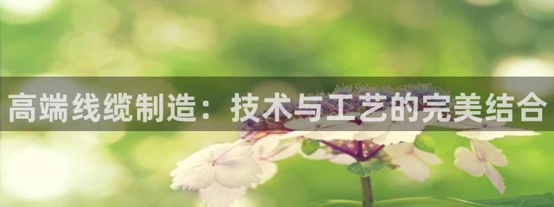 万事娱乐有漏洞么