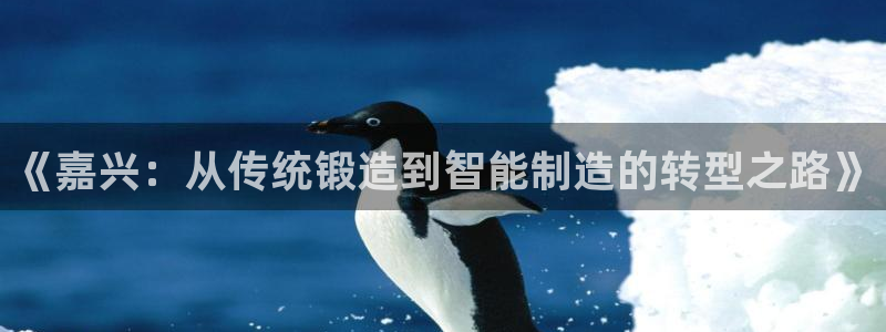 万事娱乐登录地址查询