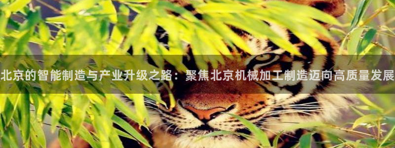 万事娱乐主管招聘要求
