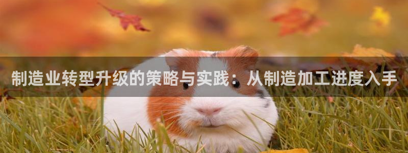 万事屋娱乐文化
