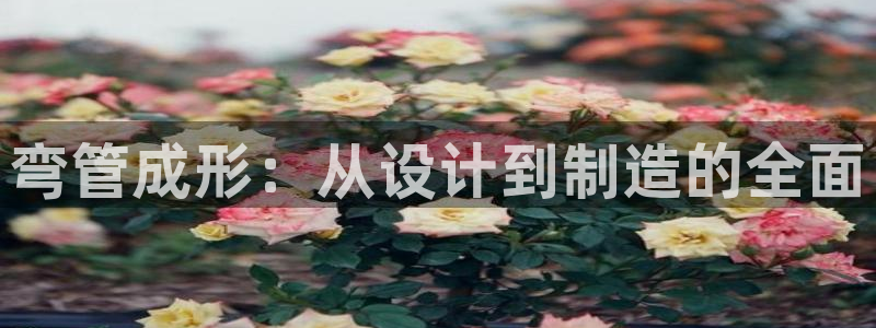 万事娱乐登录