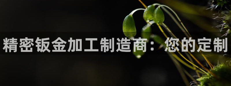万事娱乐注册