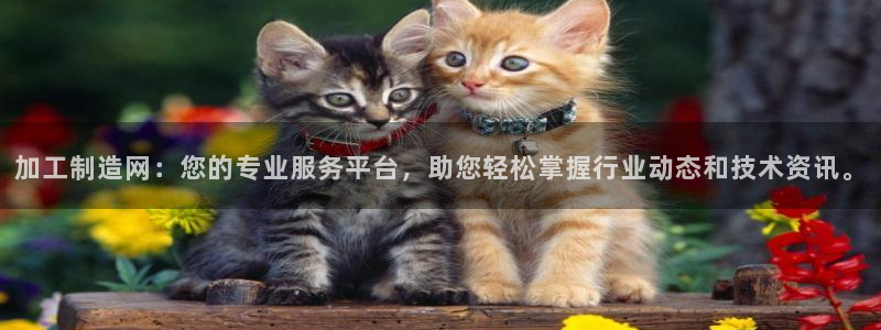 万事娱乐平台手机下载
