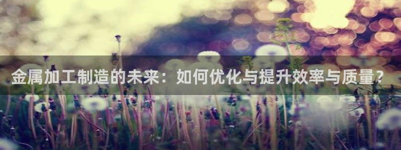 万事达娱乐董善良