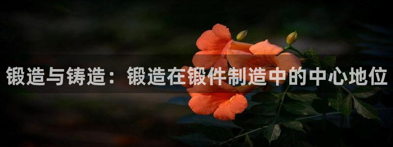 万事达娱乐经纪公司