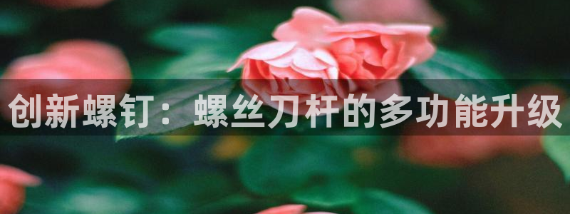 万事娱乐最高代理注册