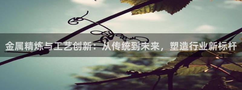 万事达娱乐指尖那