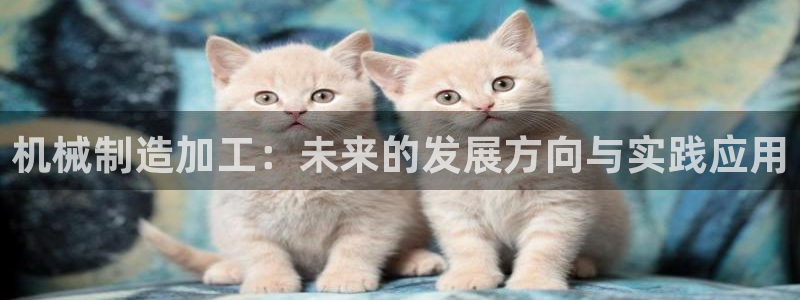 万事娱乐开户