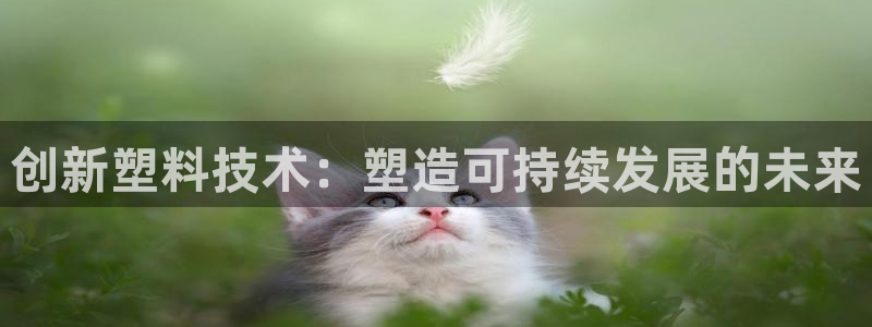 万事达娱乐球33300