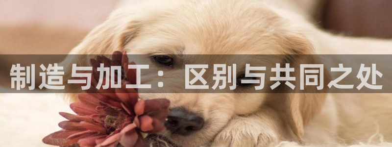 万事达娱乐到55 12