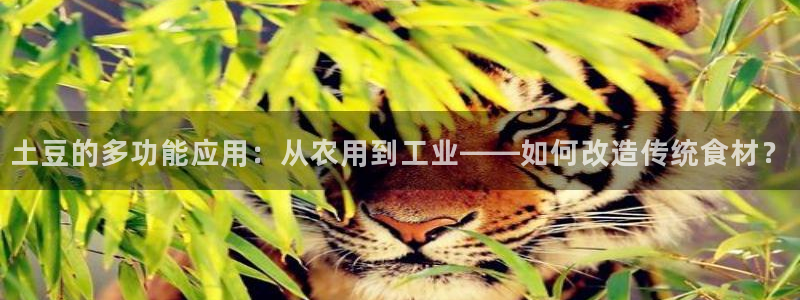 万事娱乐32二九01