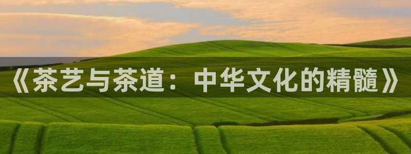 娱乐万事屋账号