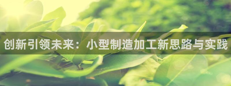 万事达娱乐荣誉21