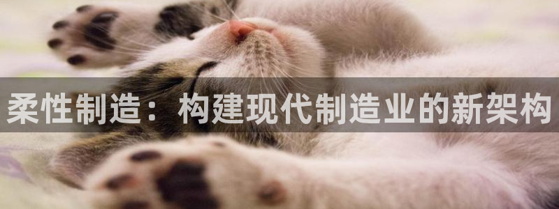 万事娱乐中心