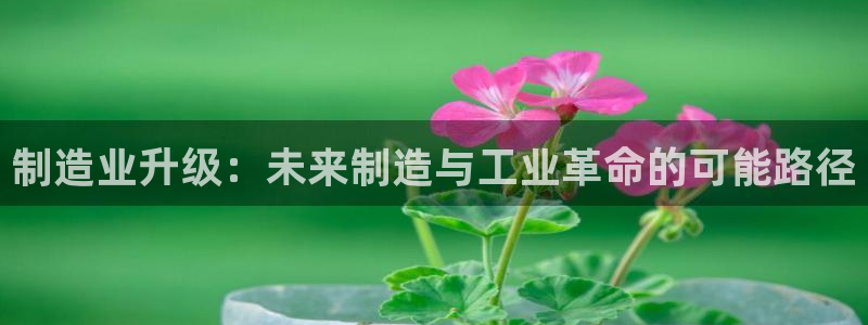 万事娱乐一样的