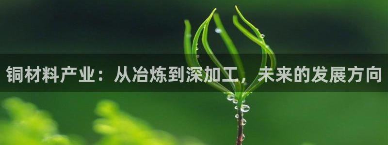万事娱乐首页网