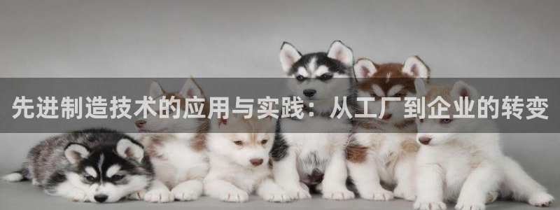 万事豪娱乐