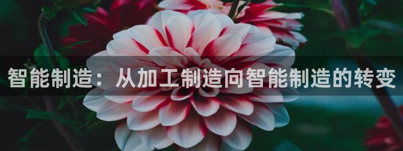 万事娱乐344272