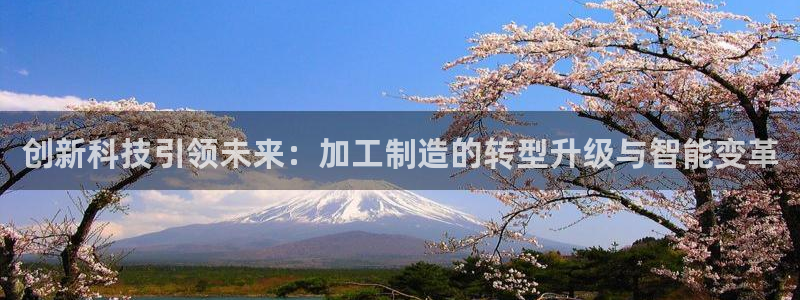 娱乐人万事屋