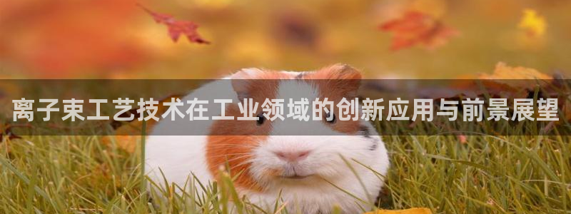 万事娱乐计划软件下载