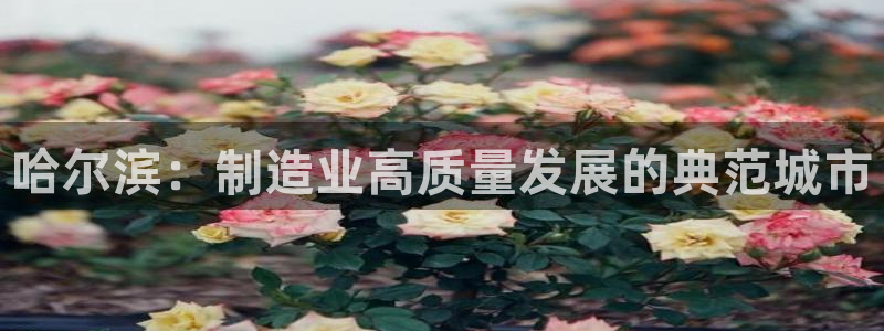 万事娱乐登陆