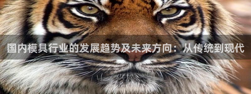 万事娱乐注册平台