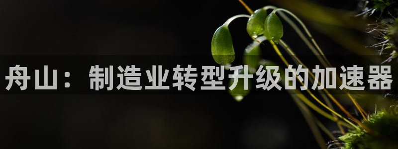 万事娱乐官网网址