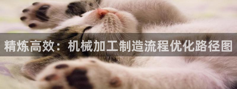 万事如意纯属娱乐
