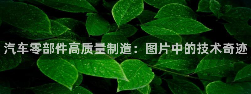 万事达娱乐设施