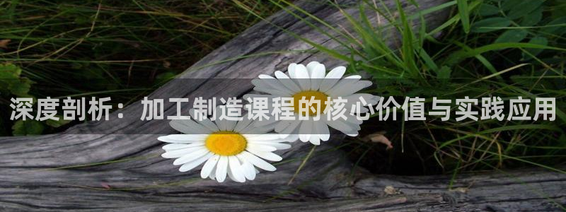 万事达娱乐f 判官