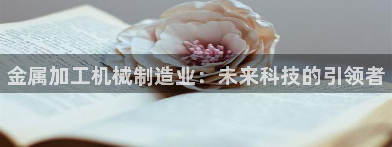 万事娱乐主管薪资多少