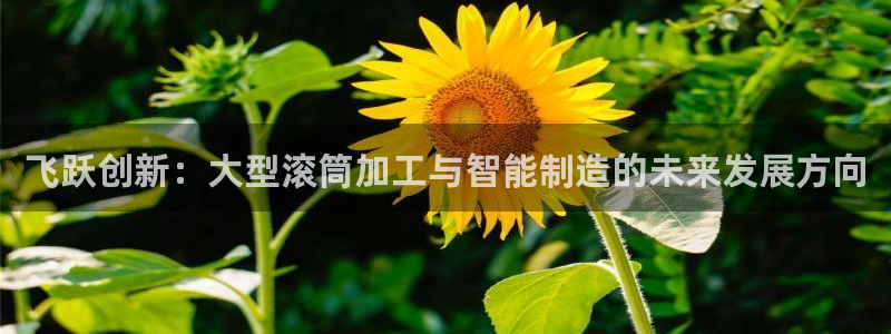 万事娱乐主管薪资结构