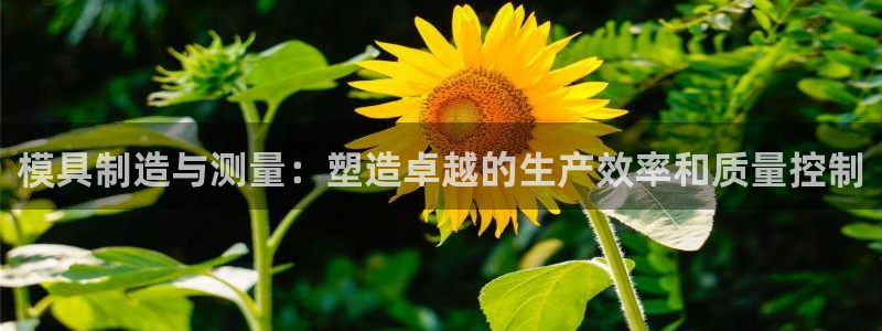 万事娱乐中心