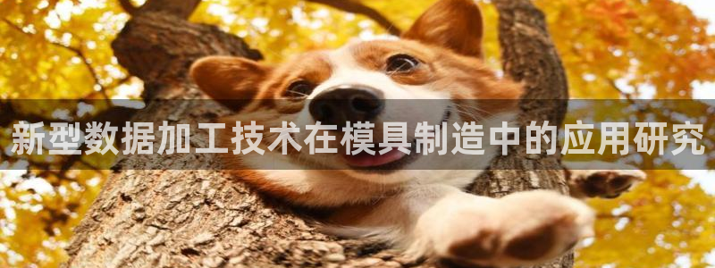 万事达大酒店娱乐