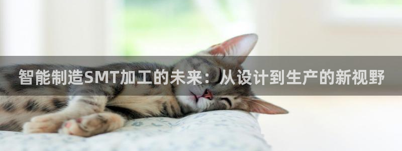 万事娱乐下载手机版