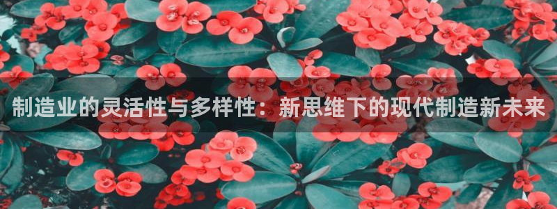 万事顺文化娱乐