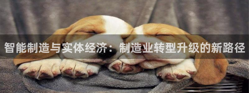 万事娱乐地址在哪里