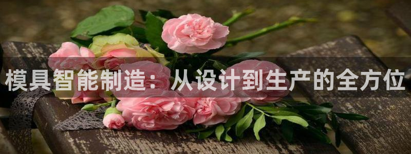 万事成物流娱乐宣传