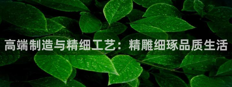 万事达娱乐b 判官