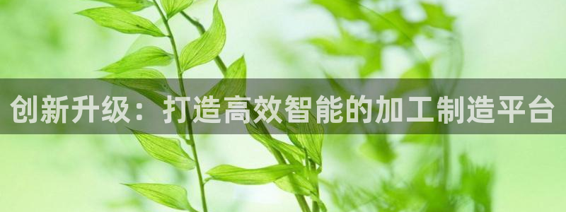 万事娱乐邵然