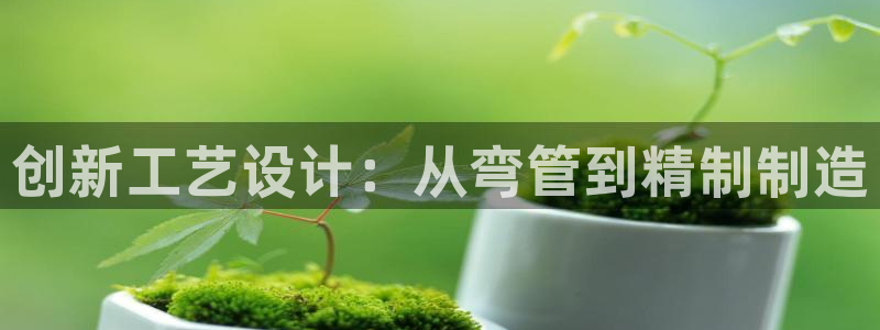 万事娱乐筘49403