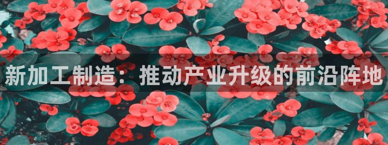 娱乐万事通作品
