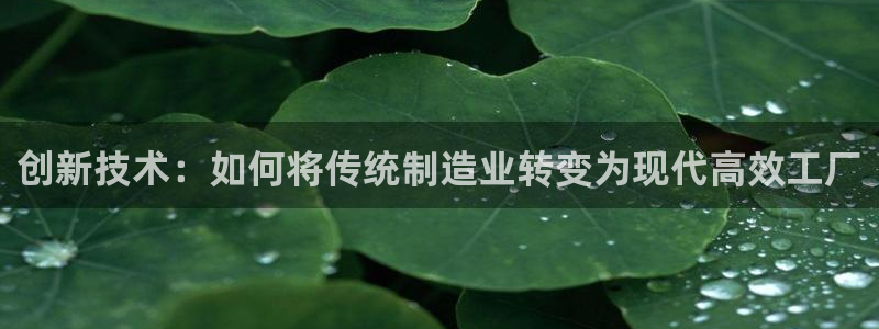 万事皆可娱乐
